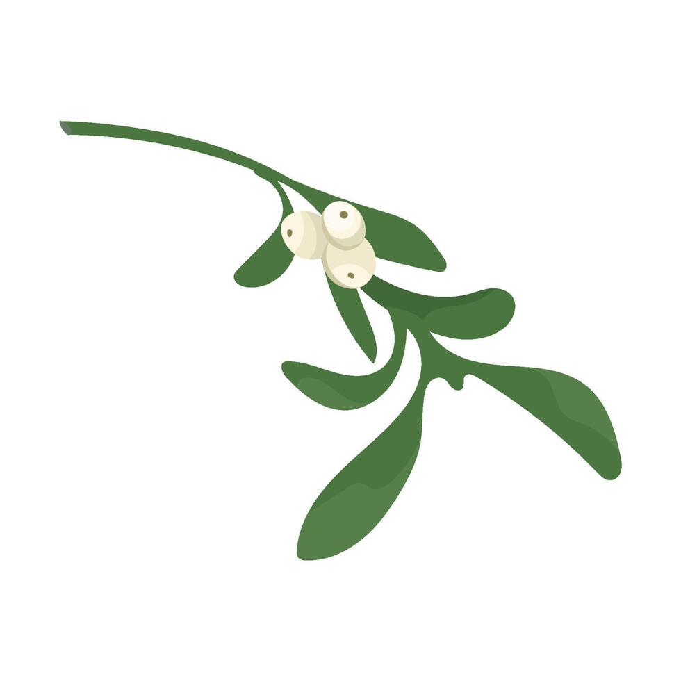 Mistletoe twig with white berries. christmas plant decoration of mistletoe isolated on white background. Design frame element for print, card, flyer, banner vector