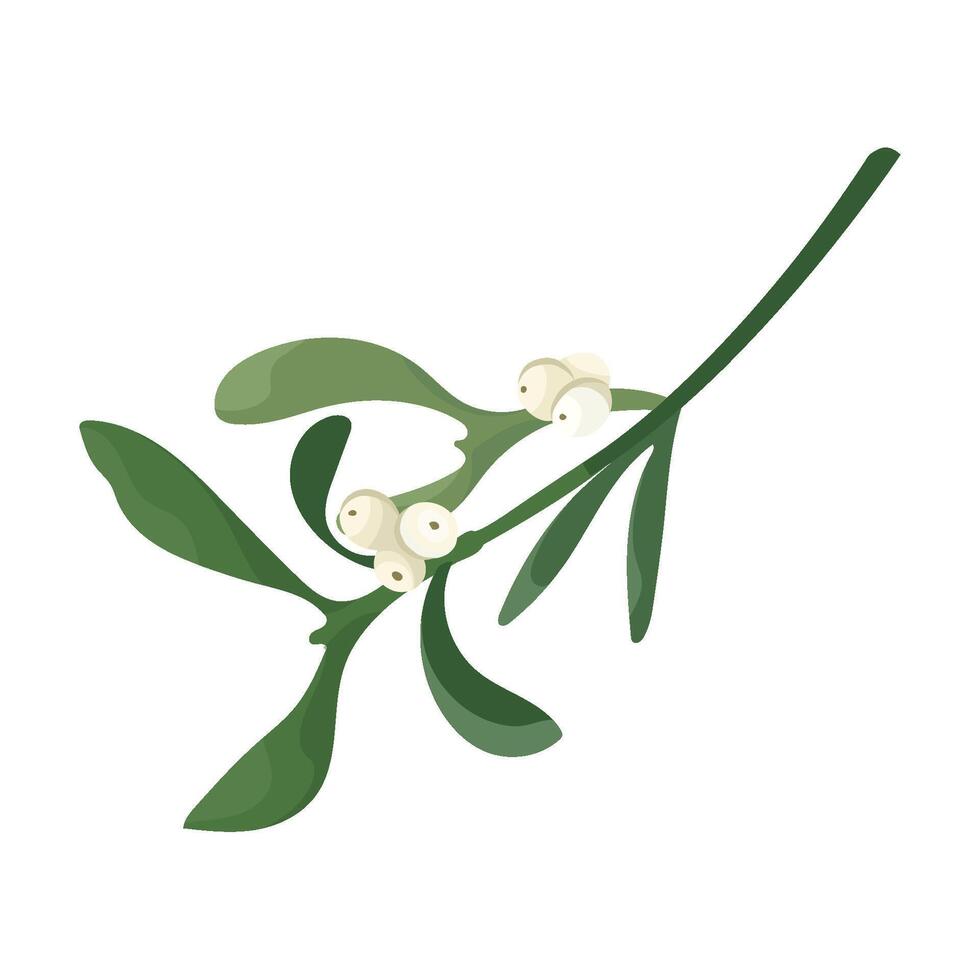 Mistletoe branch with white berries. christmas sprig of mistletoe isolated on white background. Design frame element for print, card, flyer, banner vector