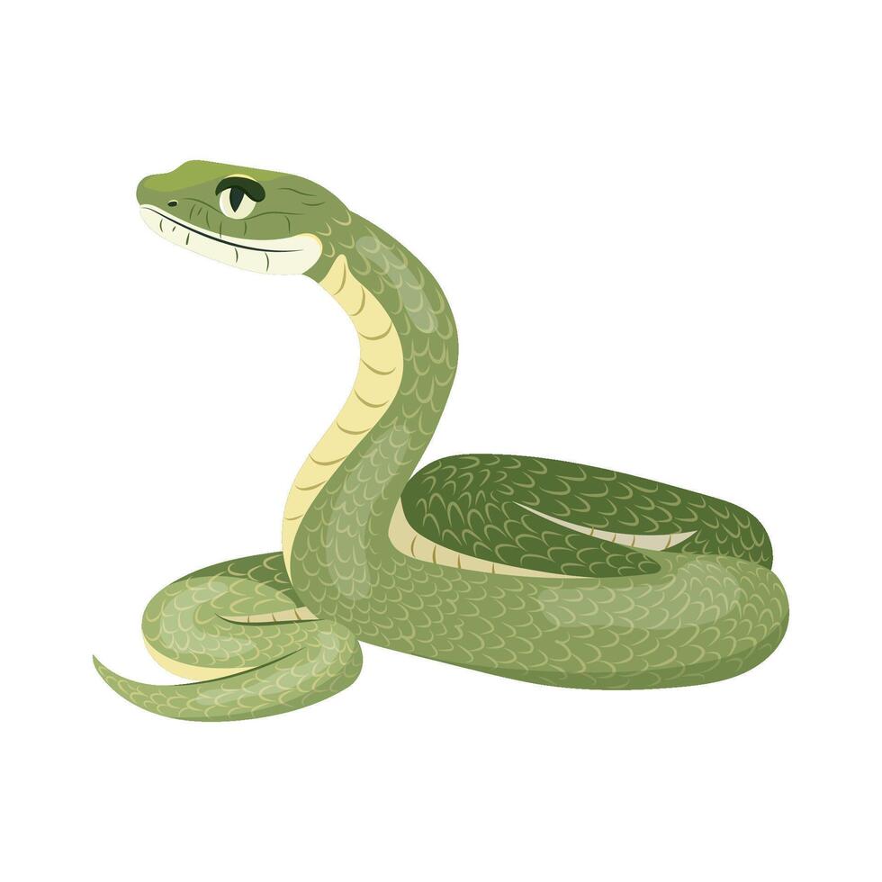 Cartoon tropical snake. illustration exotic green serpent isolated on white background. Symbol of the year design element. vector