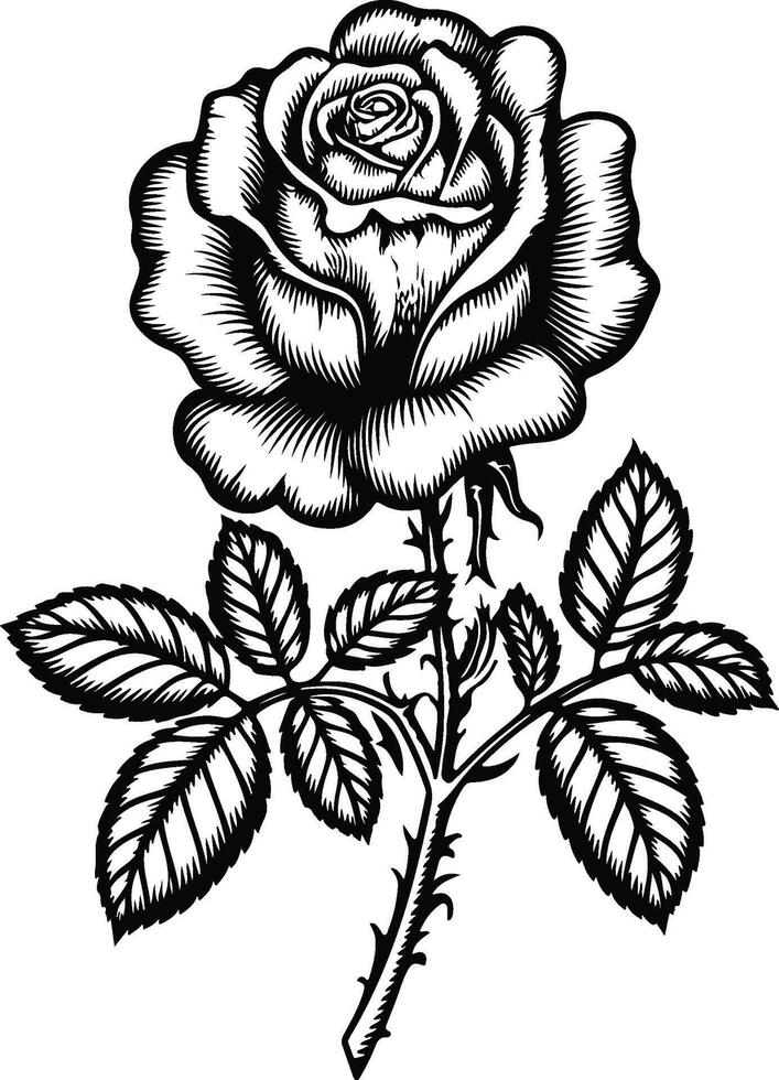Captivating Black Silhouette of a Rose in Bloom vector