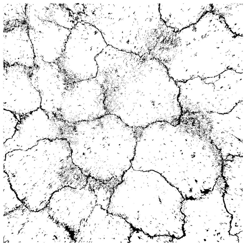 Cracked Earth Texture with Organic Patterns in Black and White vector