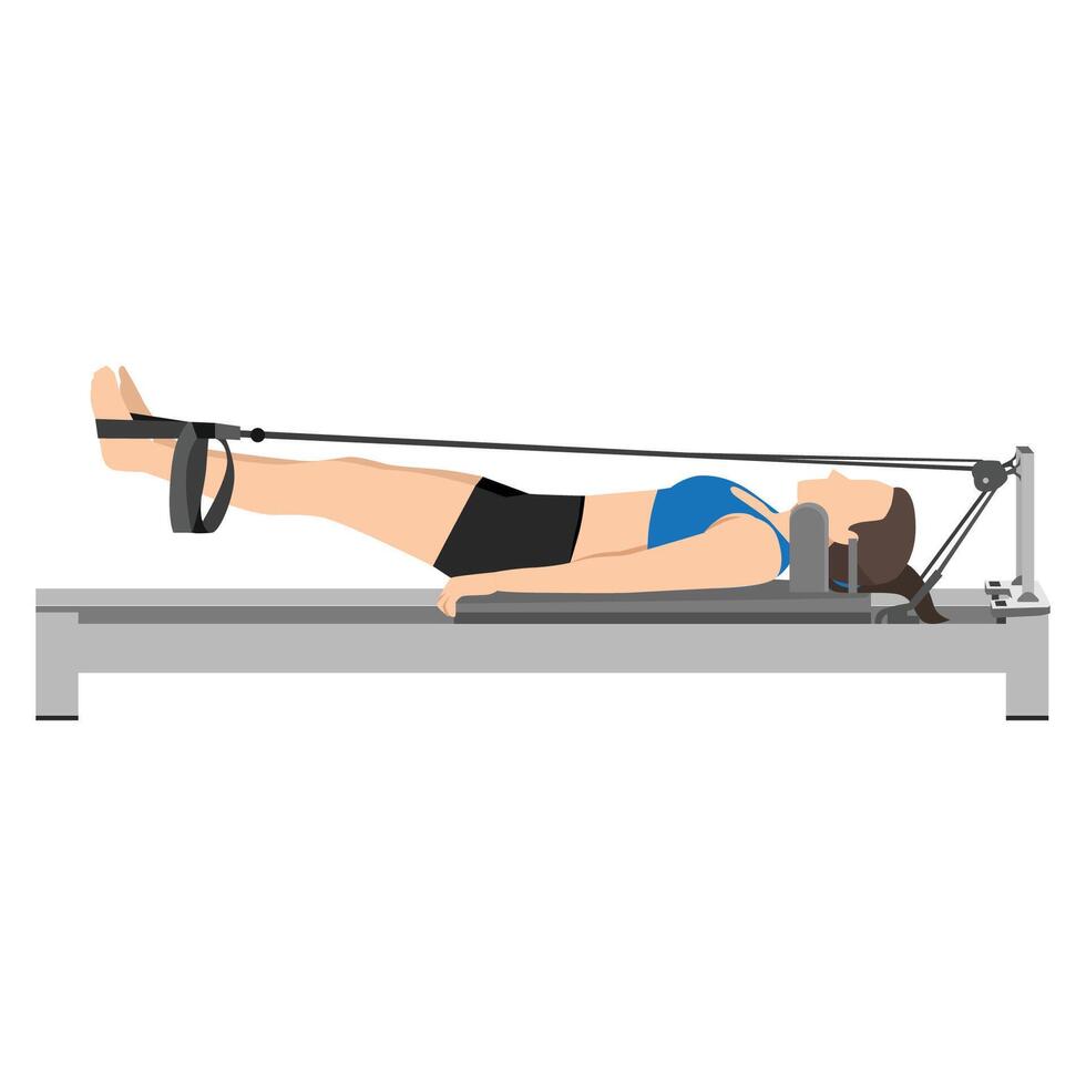 Woman doing exercises on a pilates reformer. vector