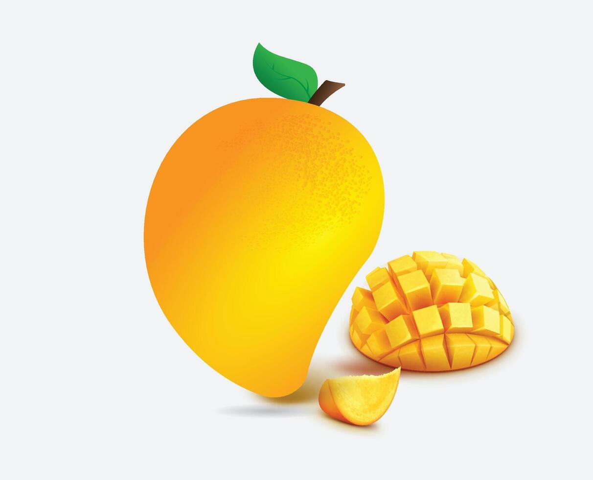 new Mango design vector