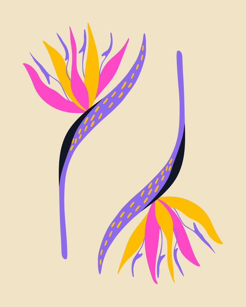 Exotic strelitzia flower is trippy in color. Tropical flower from the jungle. element for poster, background. vector