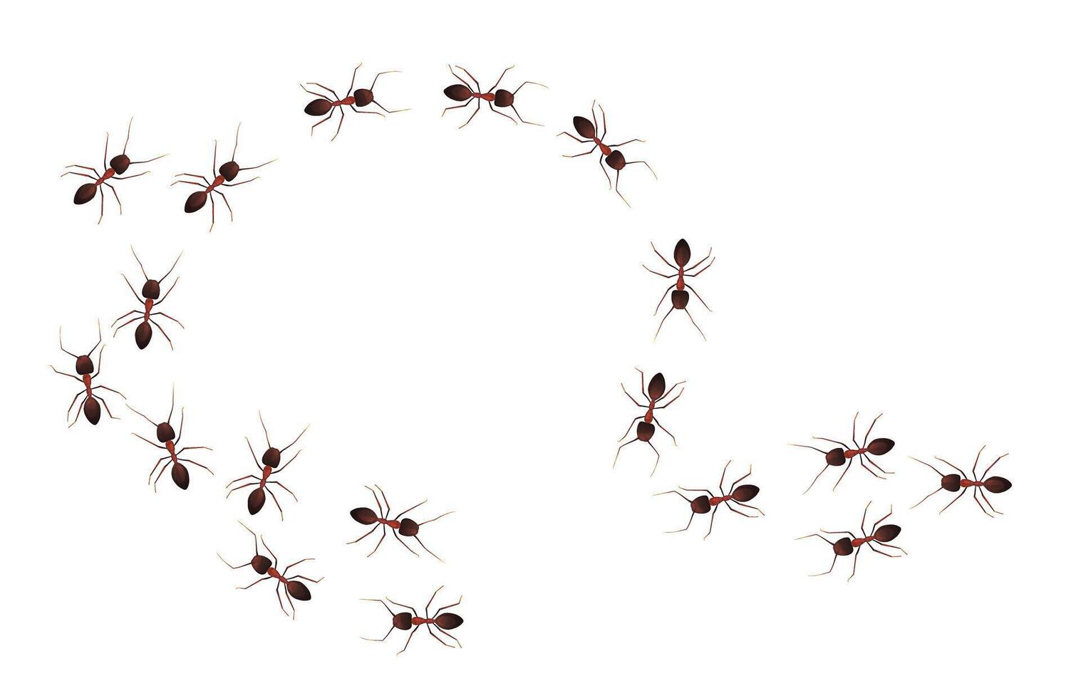 Ant trail marching in circle shape vector