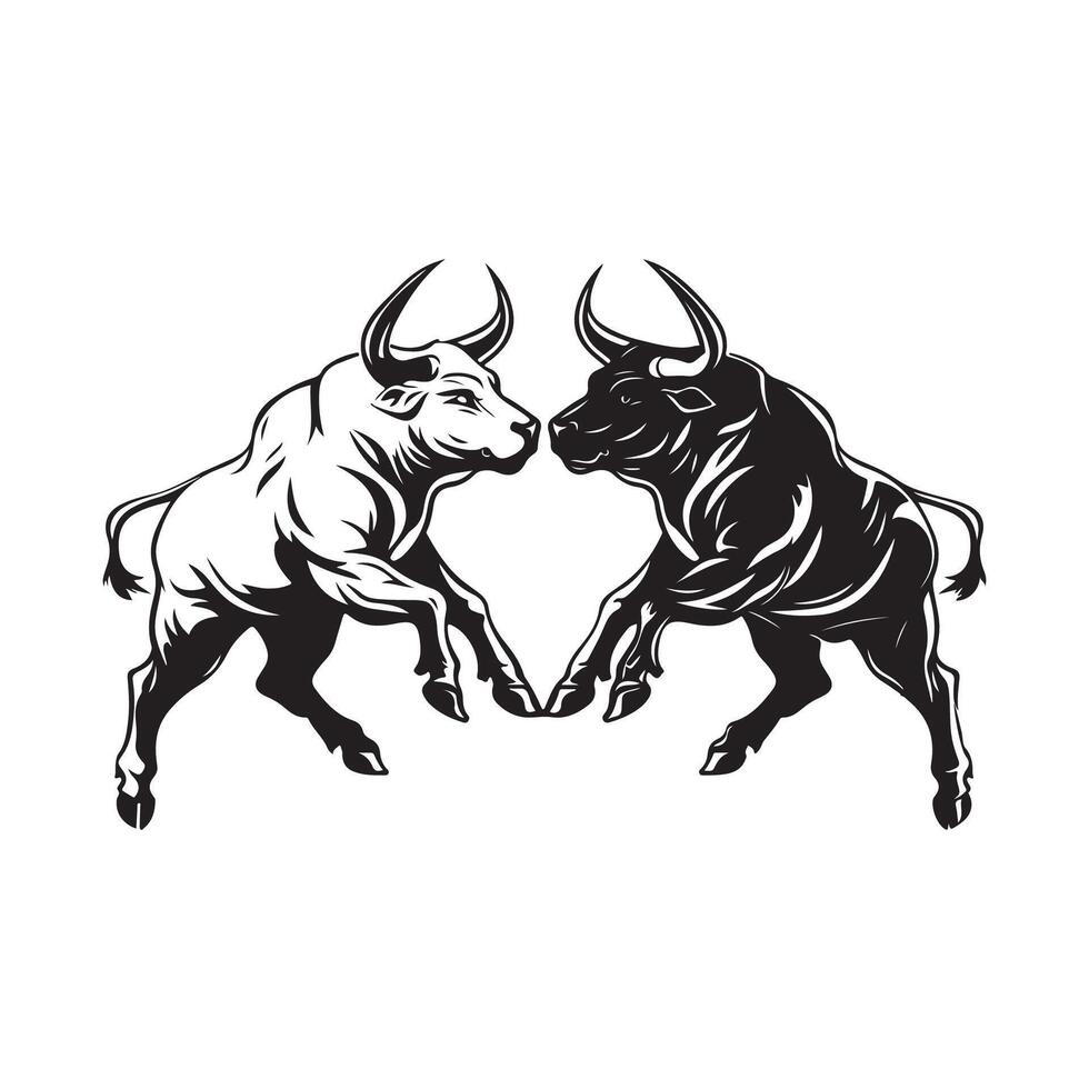 Bulls Fighting Two Stock Image. Black and white Bulls Fighting on white background vector