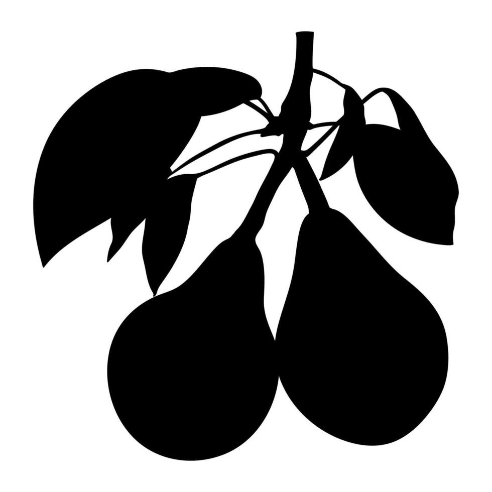 Pear Tree Branch with Fruit and Leaves Silhouettes vector