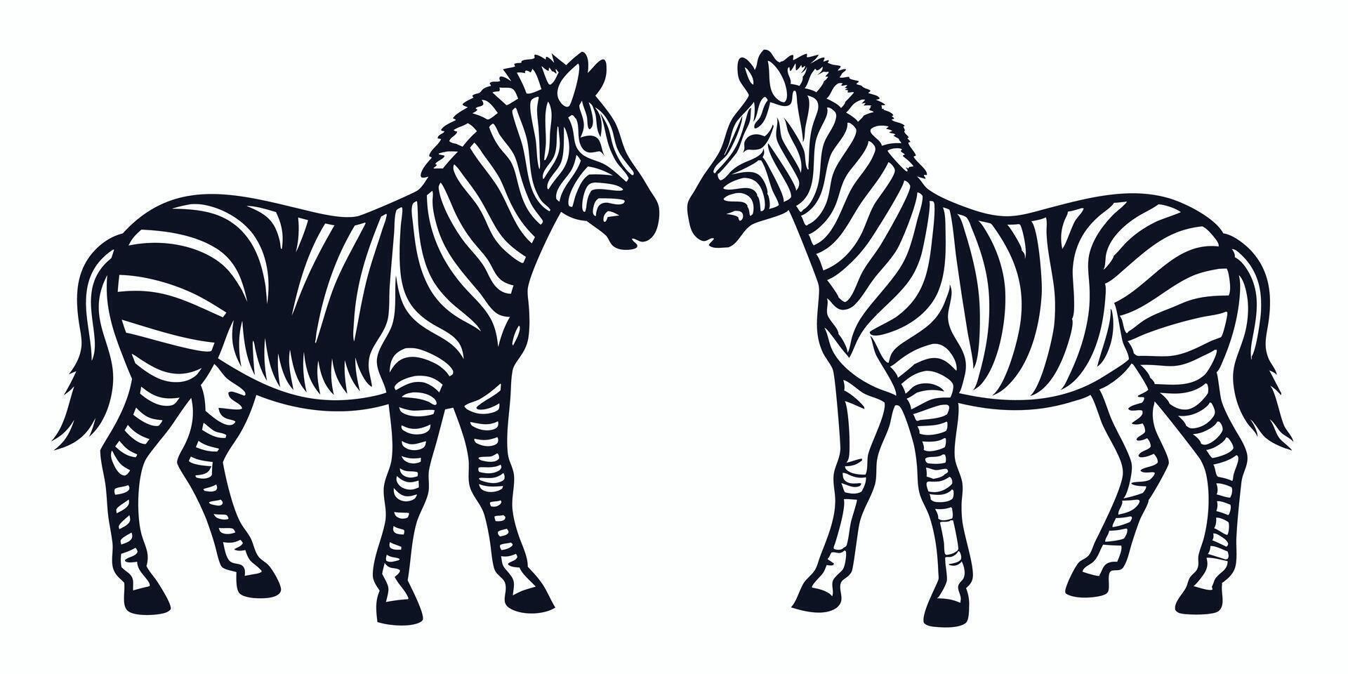 two zebras standing side by side on a white background vector