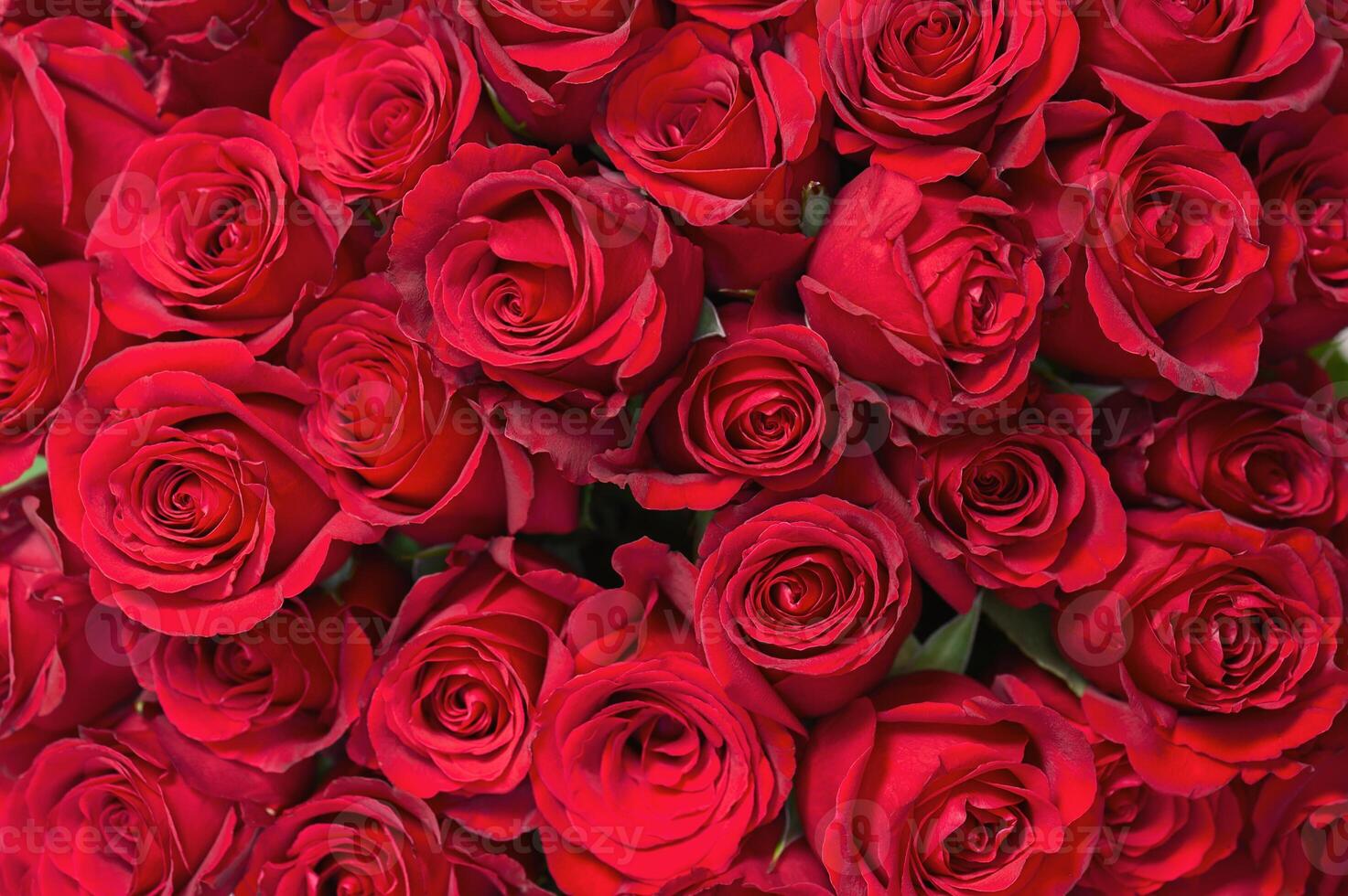 Colorful flower bouquet from red roses for use as background. photo