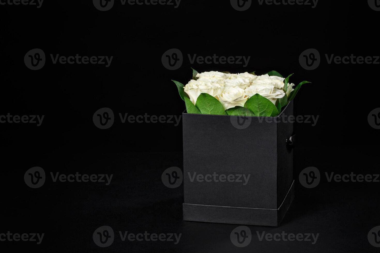 White roses in a small square black gift box on a black background, studio shooting,spring is coming,march 8 photo