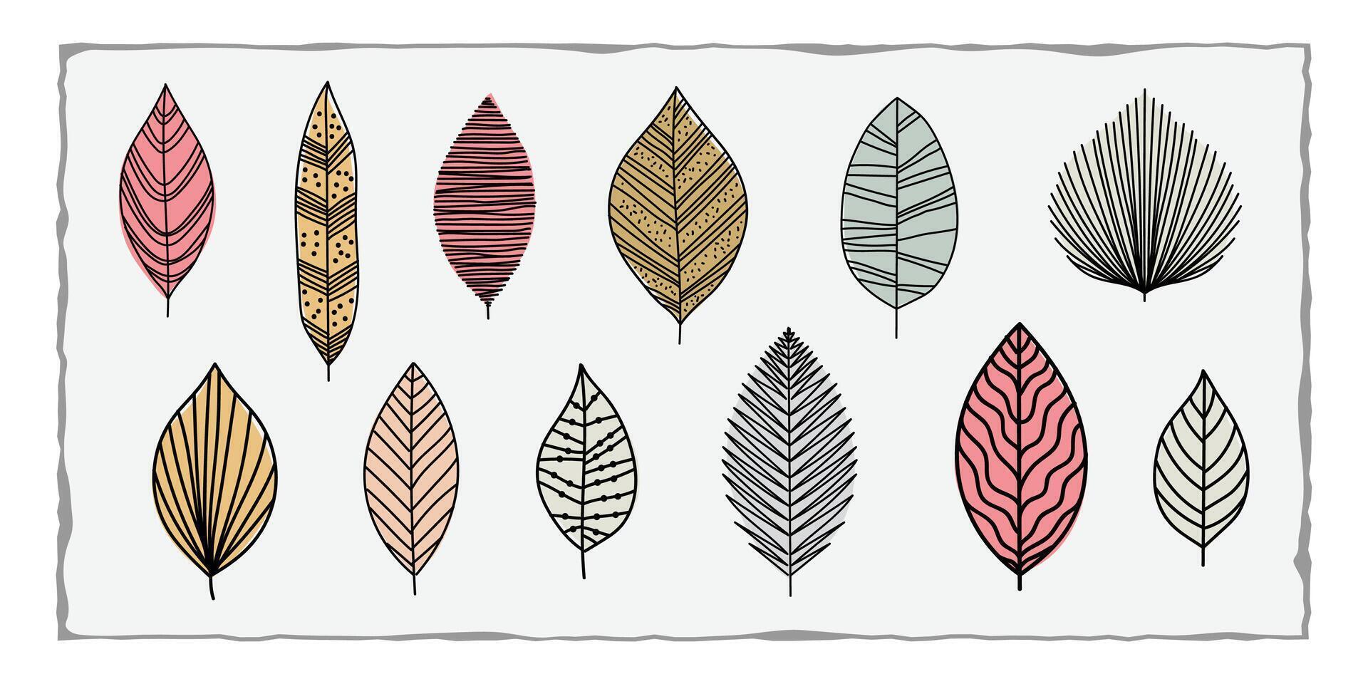 abstract of Tropical Green Leaves Isolated On White Background vector