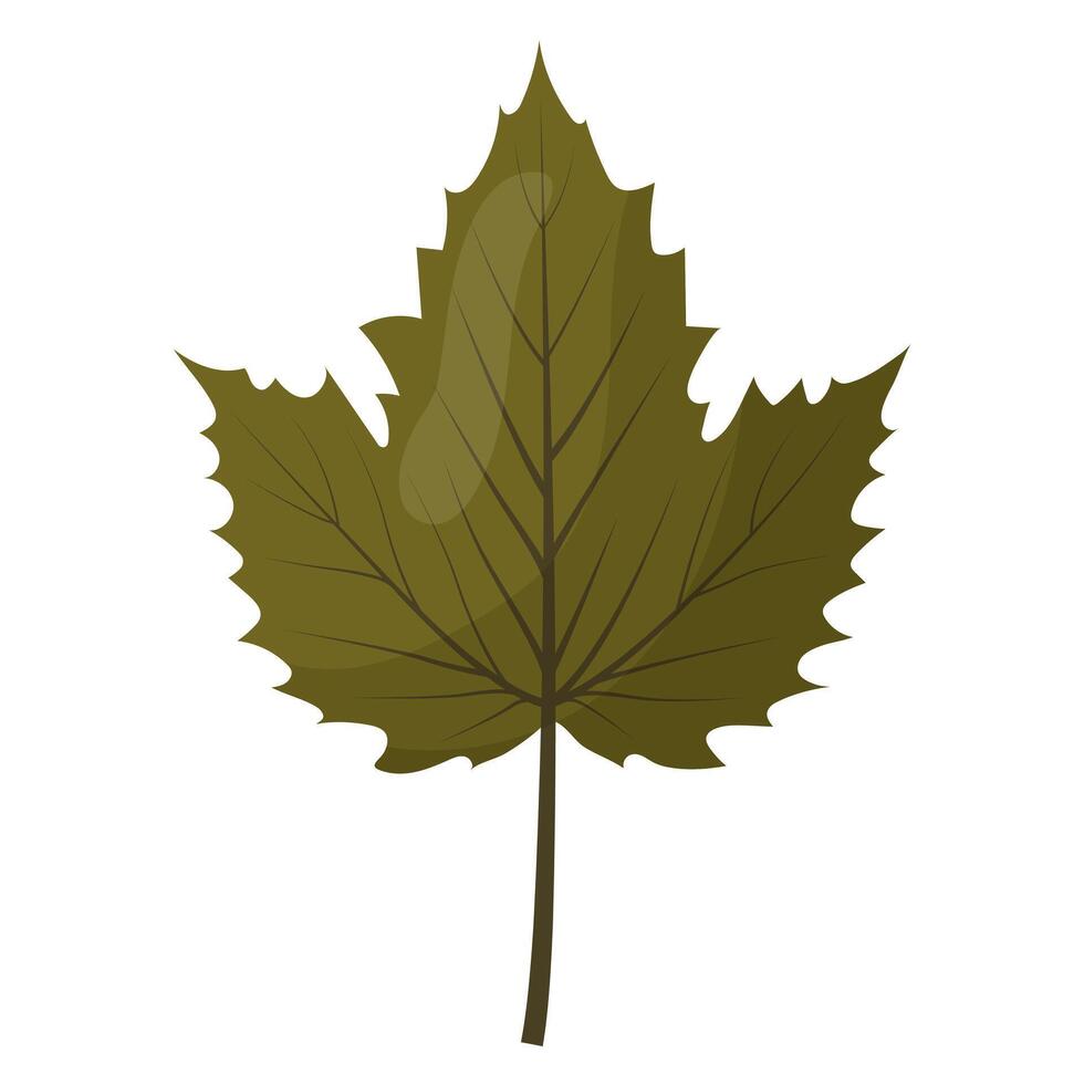the autumn leaf is painted green vector