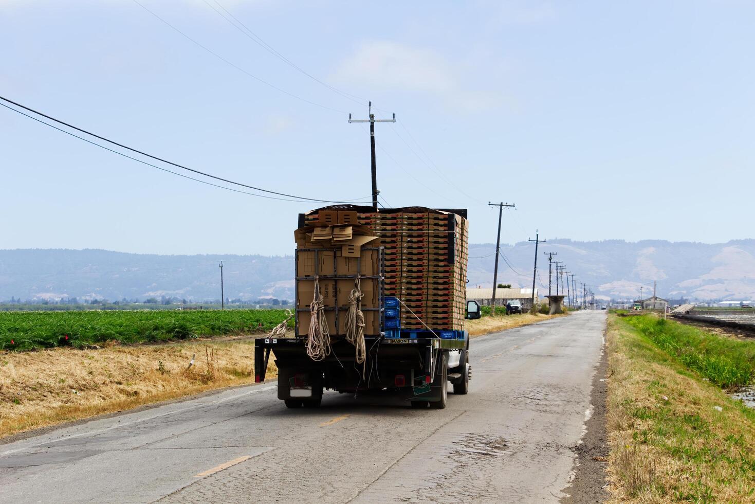 Watsonville, CA, 2024 - Flatbed Truck With Load Of Strawberry Boxes Leaving Fields photo