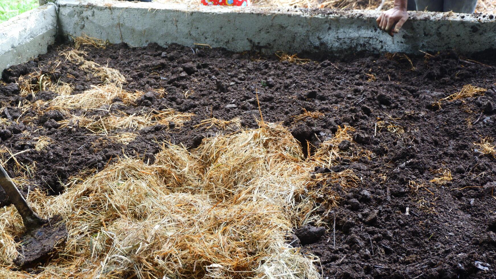 photography of piles of manure and straw for making compost photo
