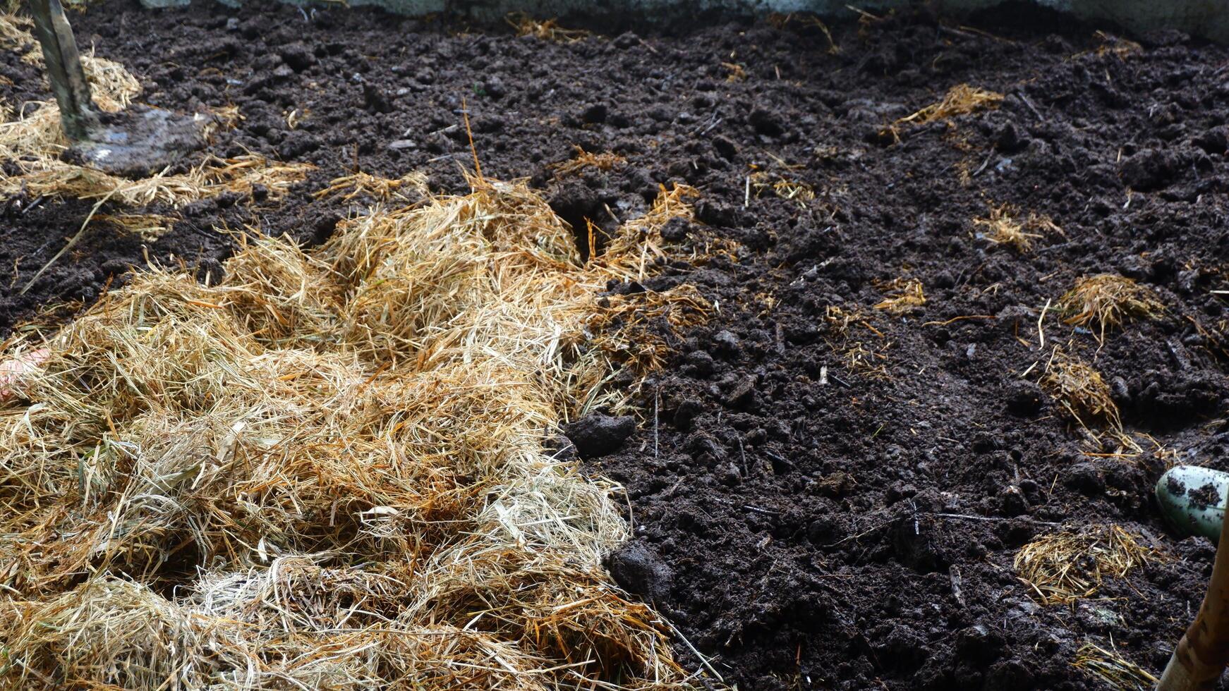 photography of piles of manure and straw for making compost photo