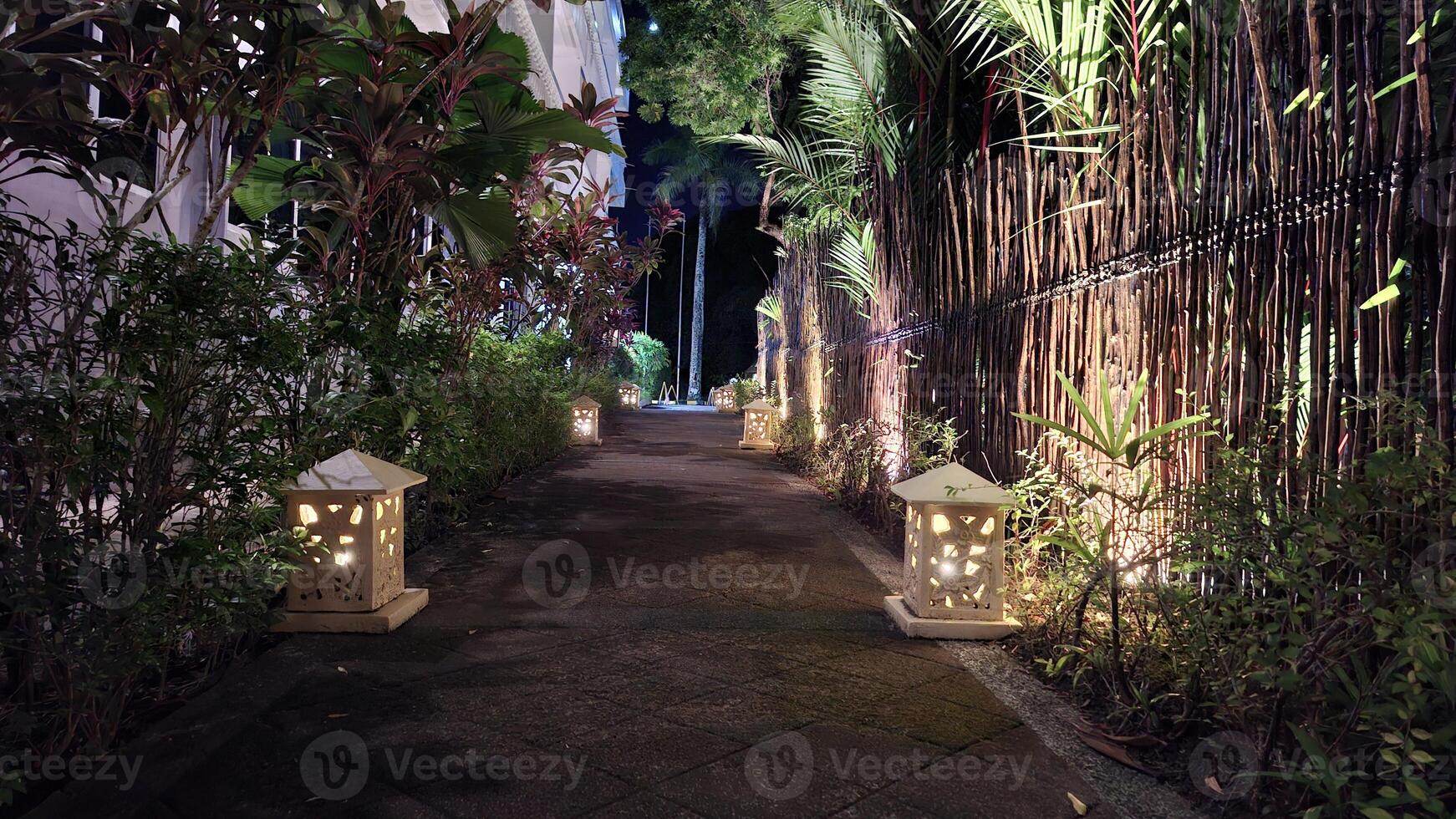 Illuminated Pathway in Tropical Garden photo