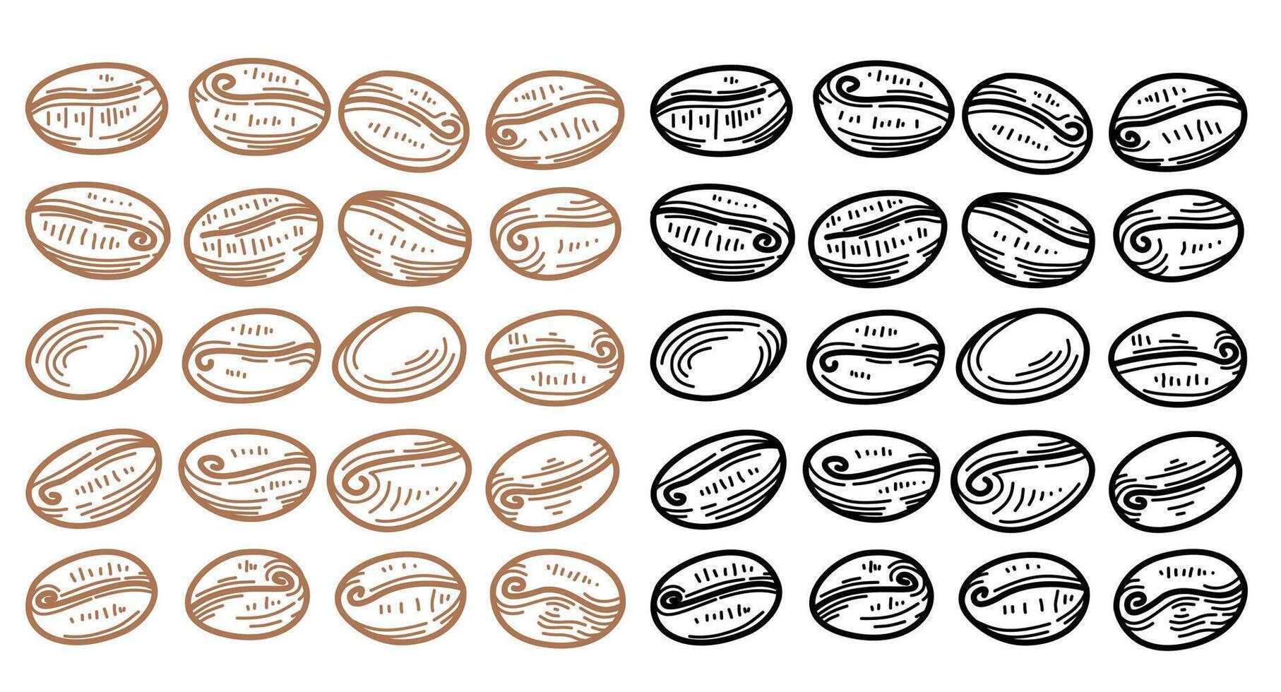 set of coffee beans illustration. Coffee bean vintage illustration. Coffee beans doodle illustration. coffee beans ornamental. vector