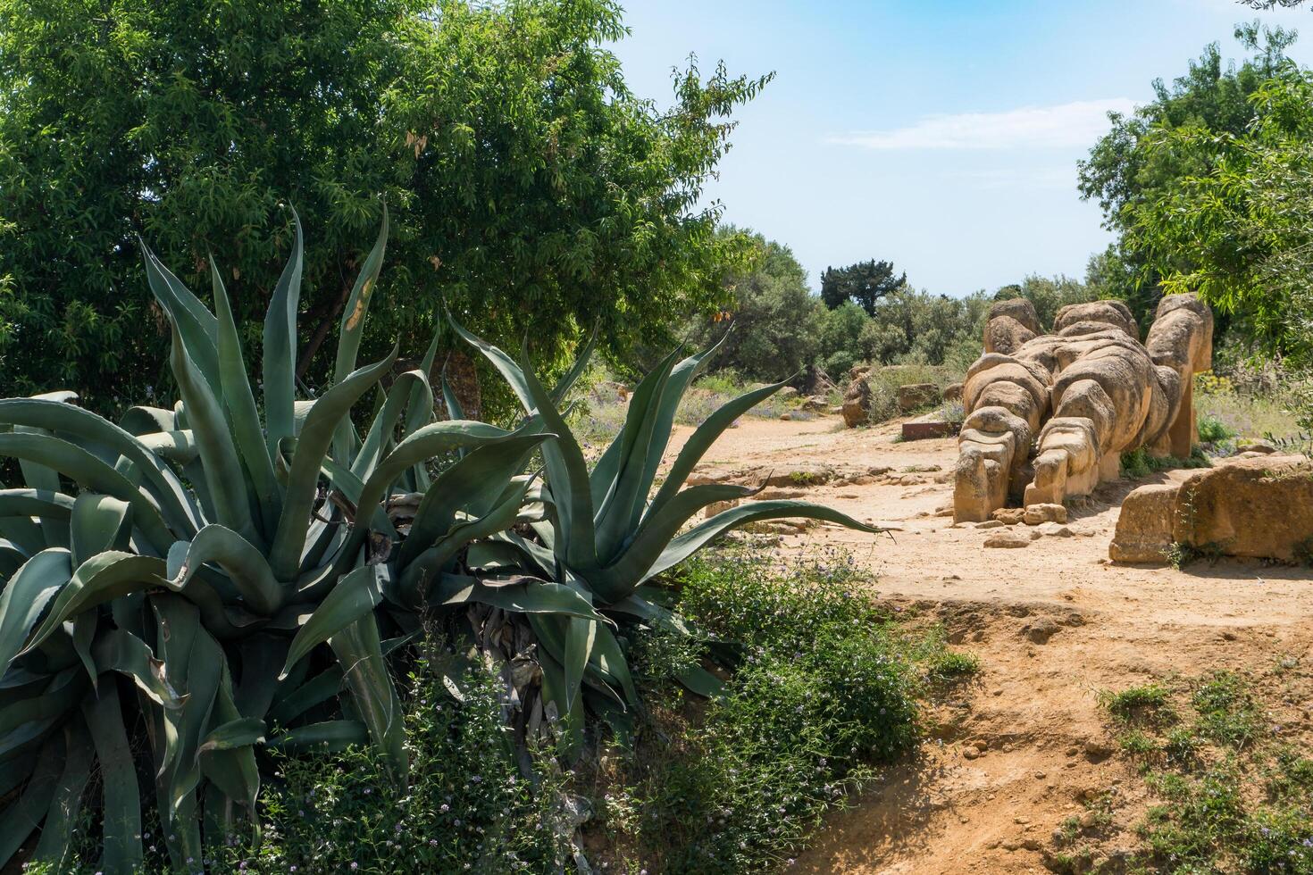 Agrigento, Italy-May 10, 2022-view of the Telamon inside the valley of the temples, an archaeological park near Agrigento during a sunny day photo