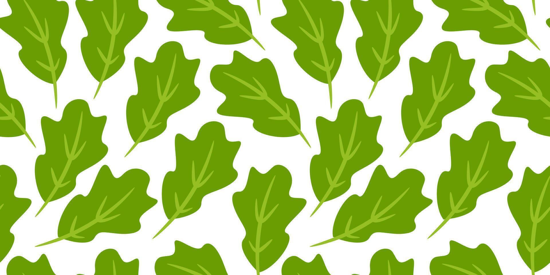 lettuce pattern Background. flat illustration lettuce background. seamless pattern lettuce. lettuce flat illustration background. vector