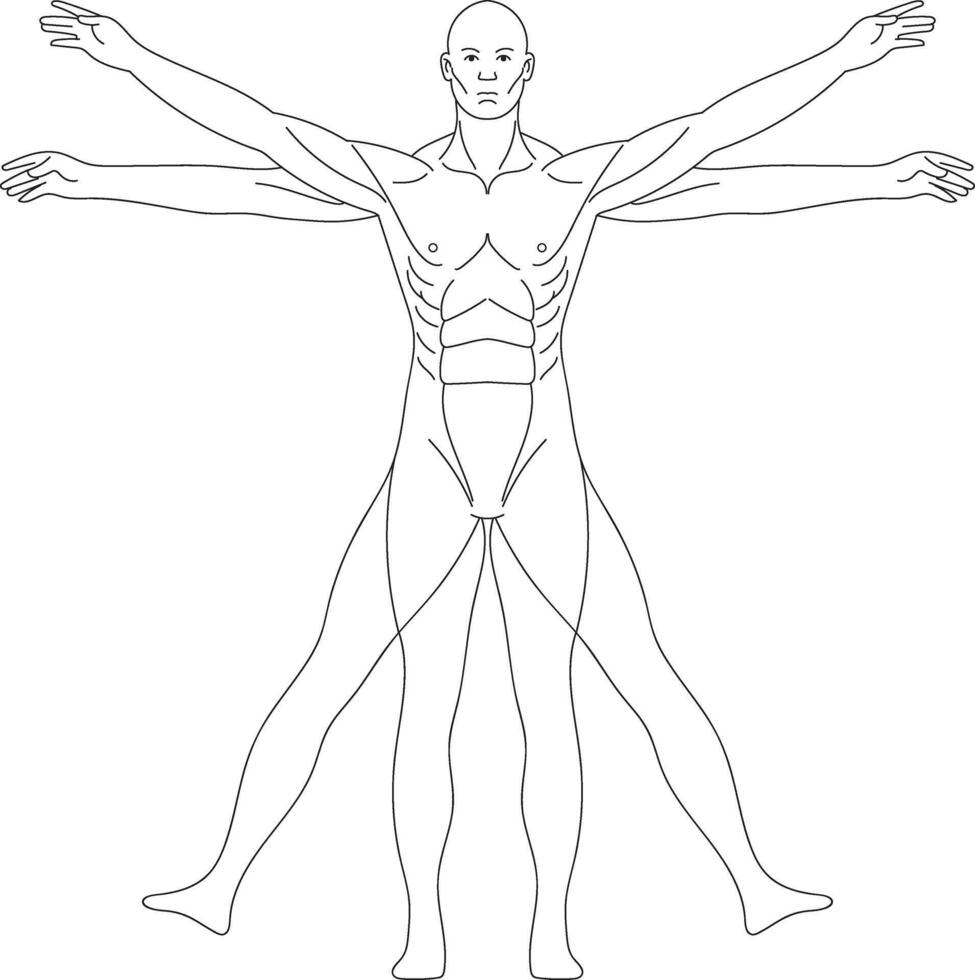 Human Body Anatomy line illustration, Hearing Loss, hand drawn in thin line style vector