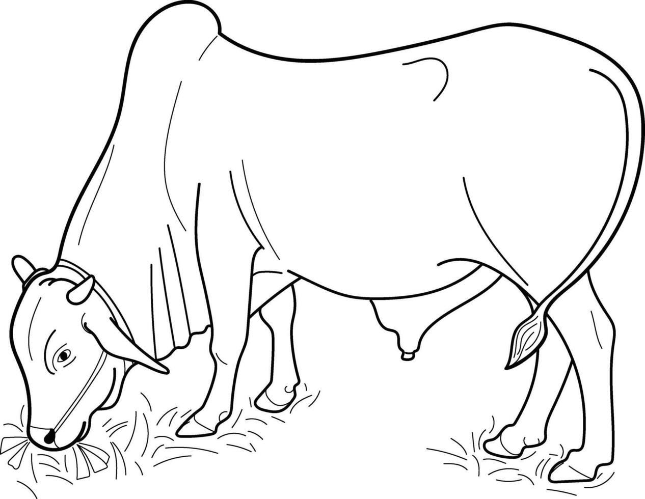 Indian bull eating grass at farm. Hand drawn in thin line style vector