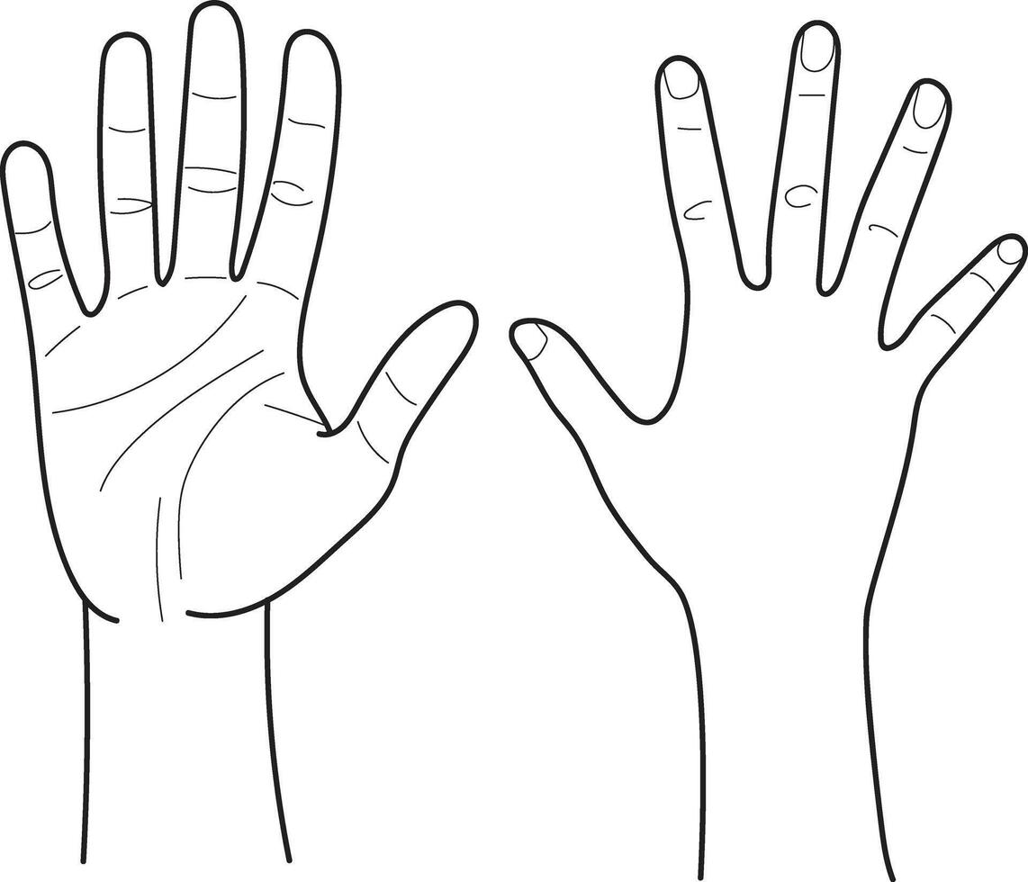 Human hands, human palms and wrist, Hand drawn in thin line style vector
