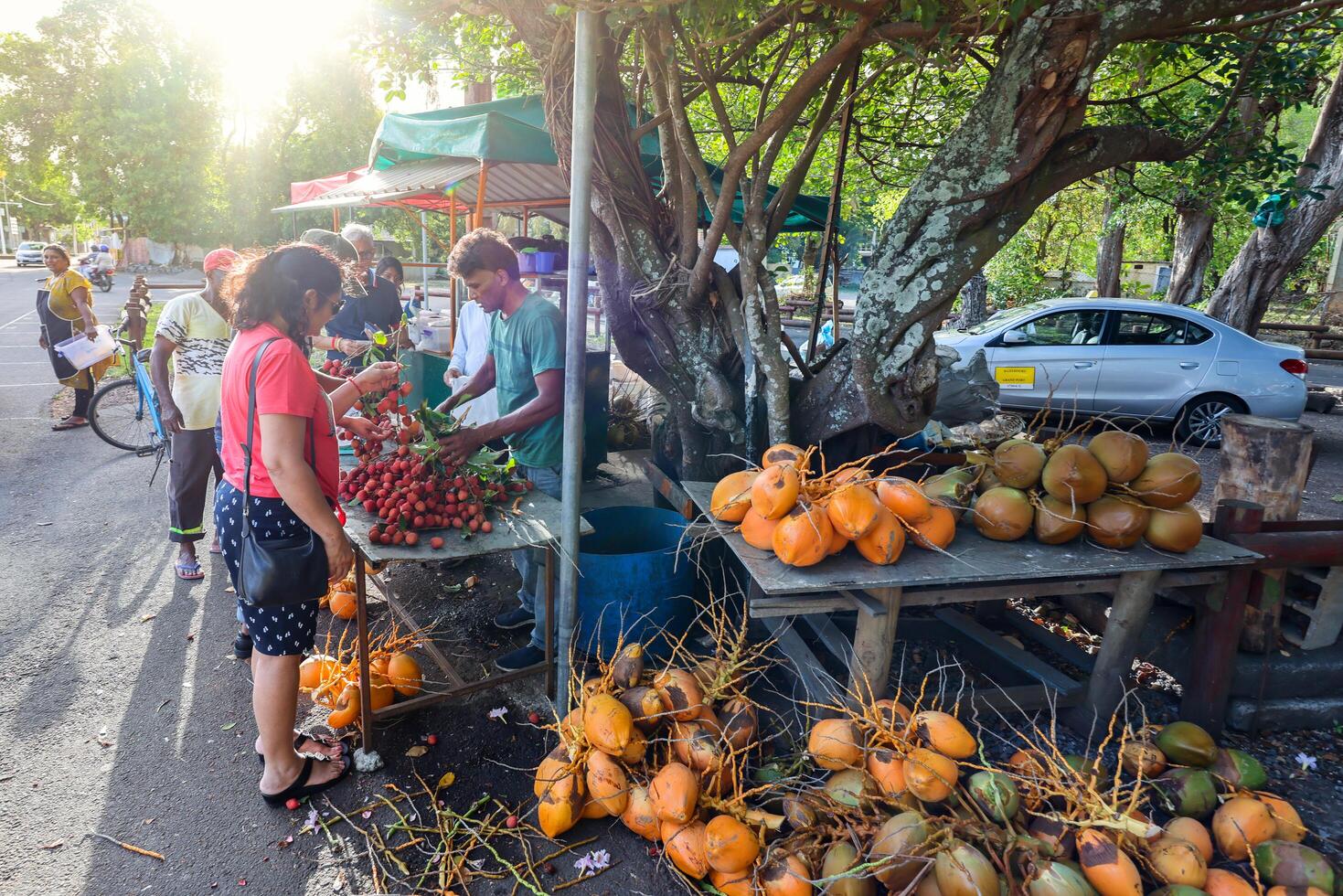 Port Louis, Mauritius - January 12, 2023 - A diverse group of individuals gather around a bustling fruit stand filled with an assortment of fresh lychees in Mauritius. photo
