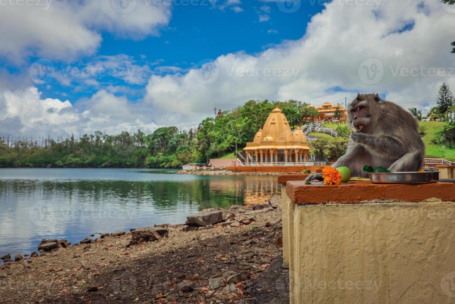 A monkey in the Mauritius temple sits on a ledge, eating something. photo