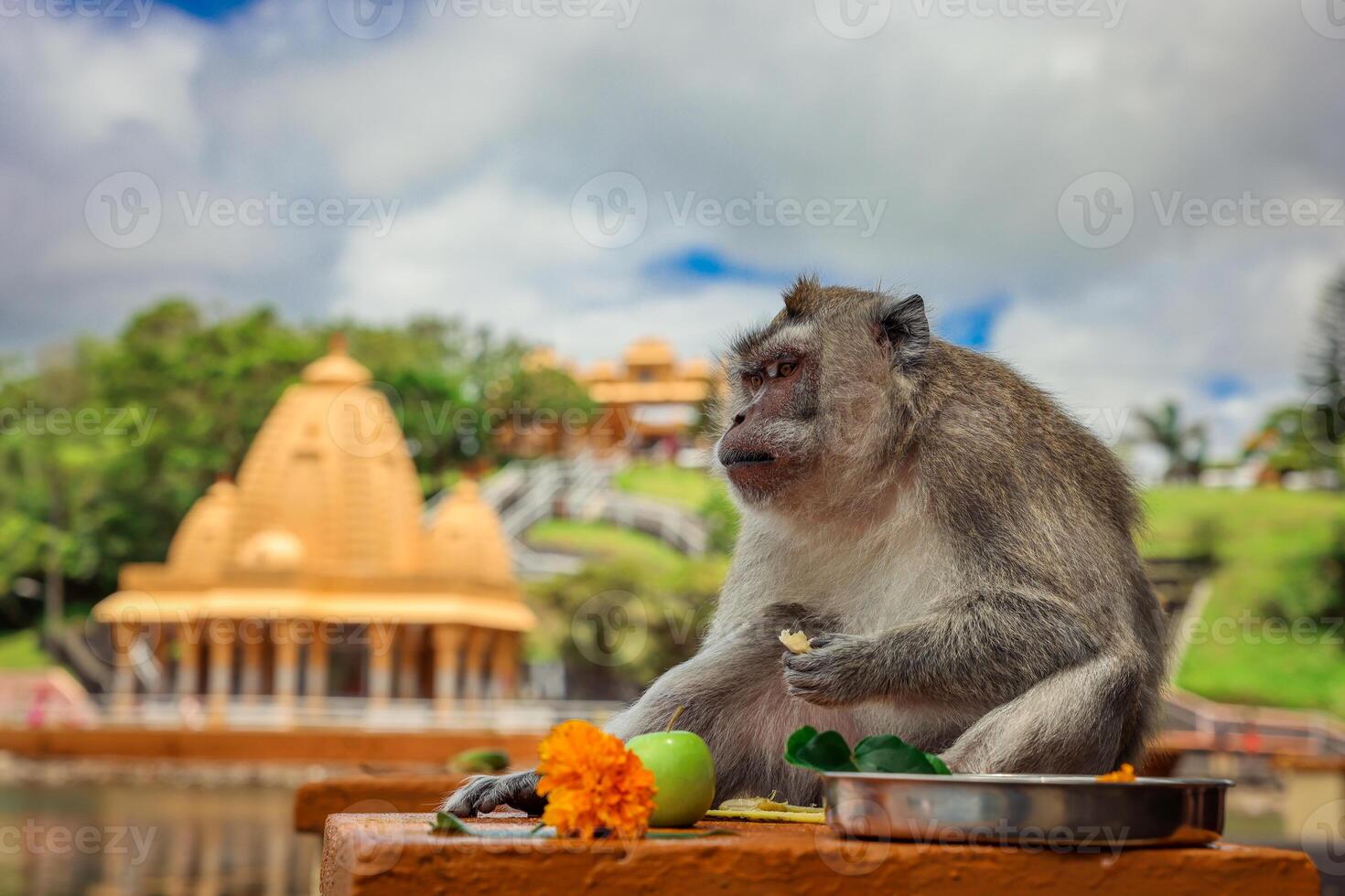 A monkey in the Mauritius temple sits on a ledge, eating something. photo