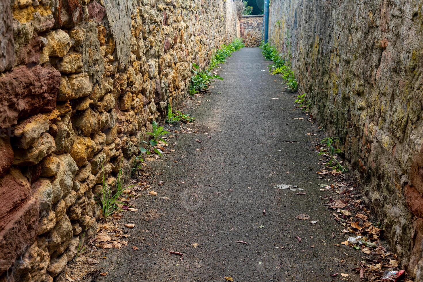 narrow alleyway with a stone wall on either side photo