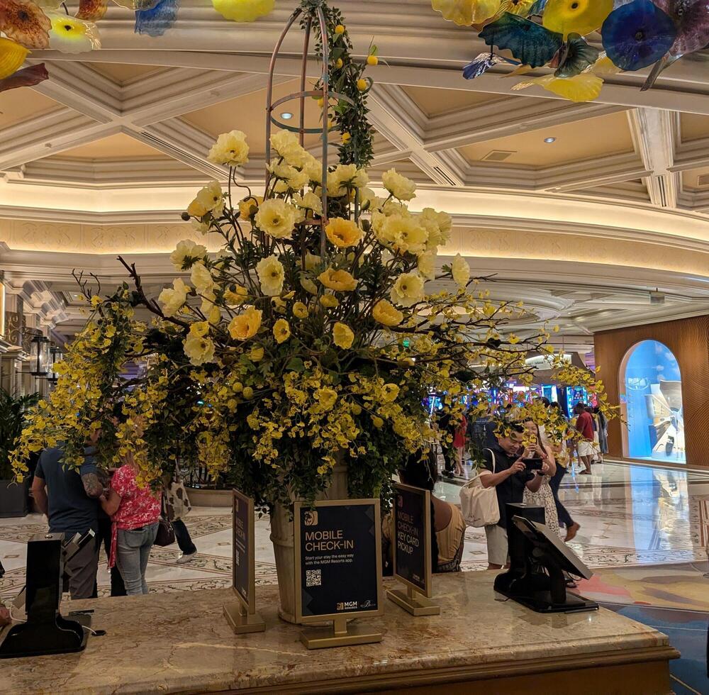 LAS VEGAS - 08.07.2024 Summer season at the Bellagio Hotel Conservatory and Botanical Garden. Every year the Conservatory implements five seasonal themes. photo