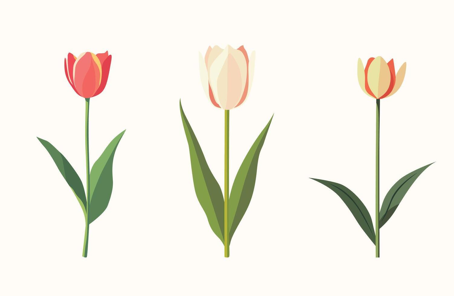 Set of illustration of a single flower, such as a tulip or daisy vector