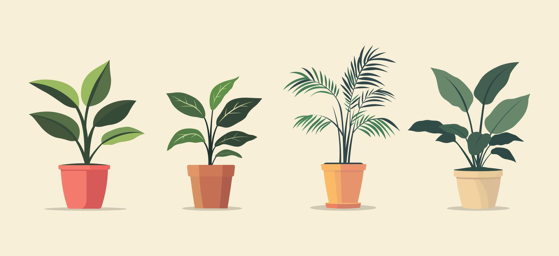 illustration of a house plant in a pot on a light color background vector