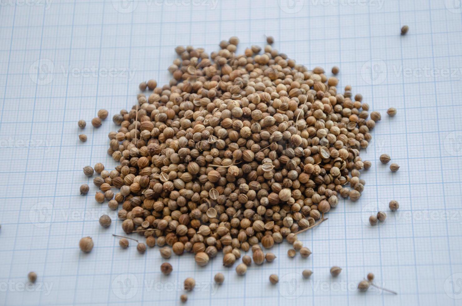 coriander seed on graph paper for the concept of size. High quality photo