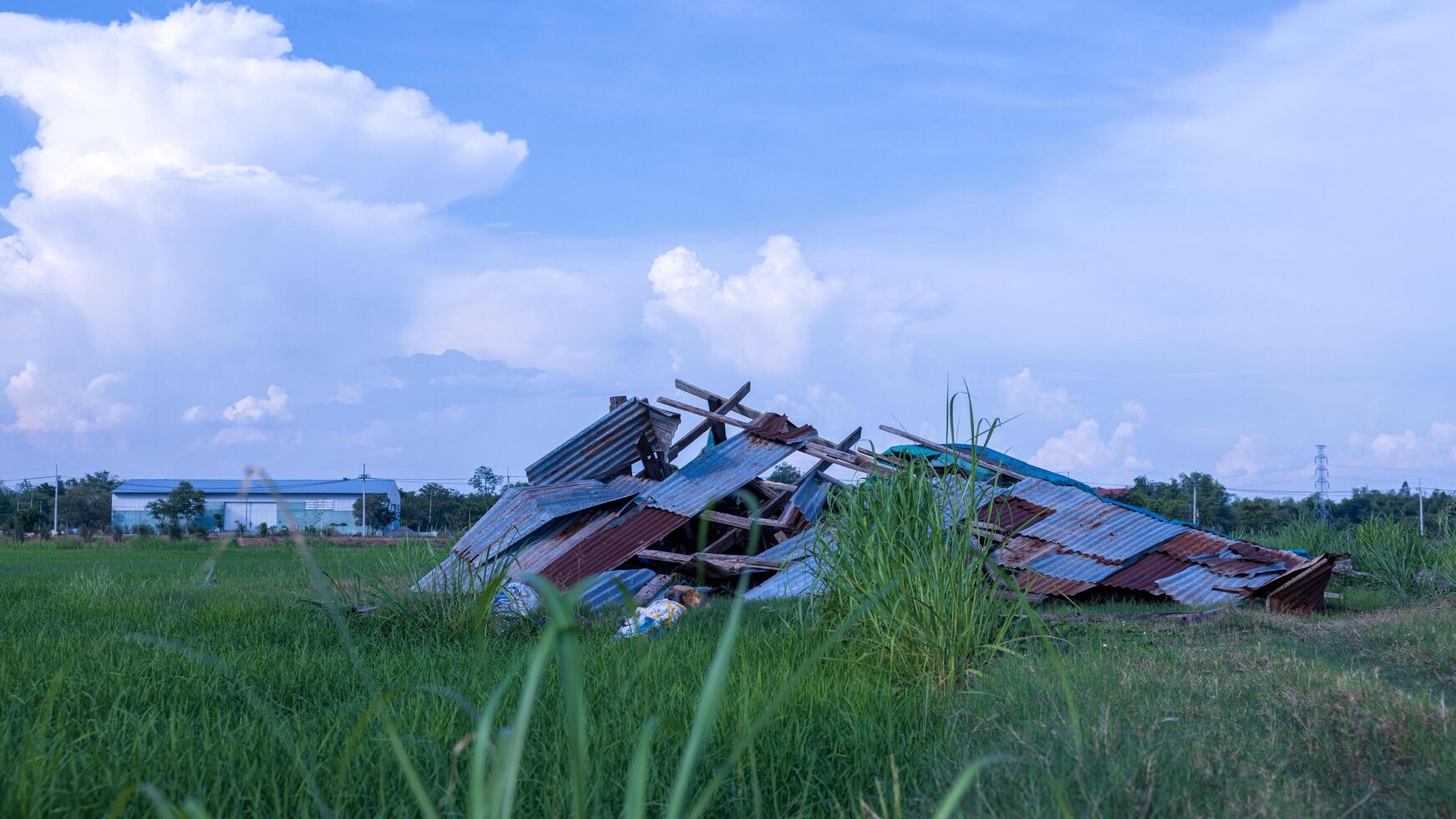 A view of an old wooden hut with a zinc sheet roof collapsed. photo