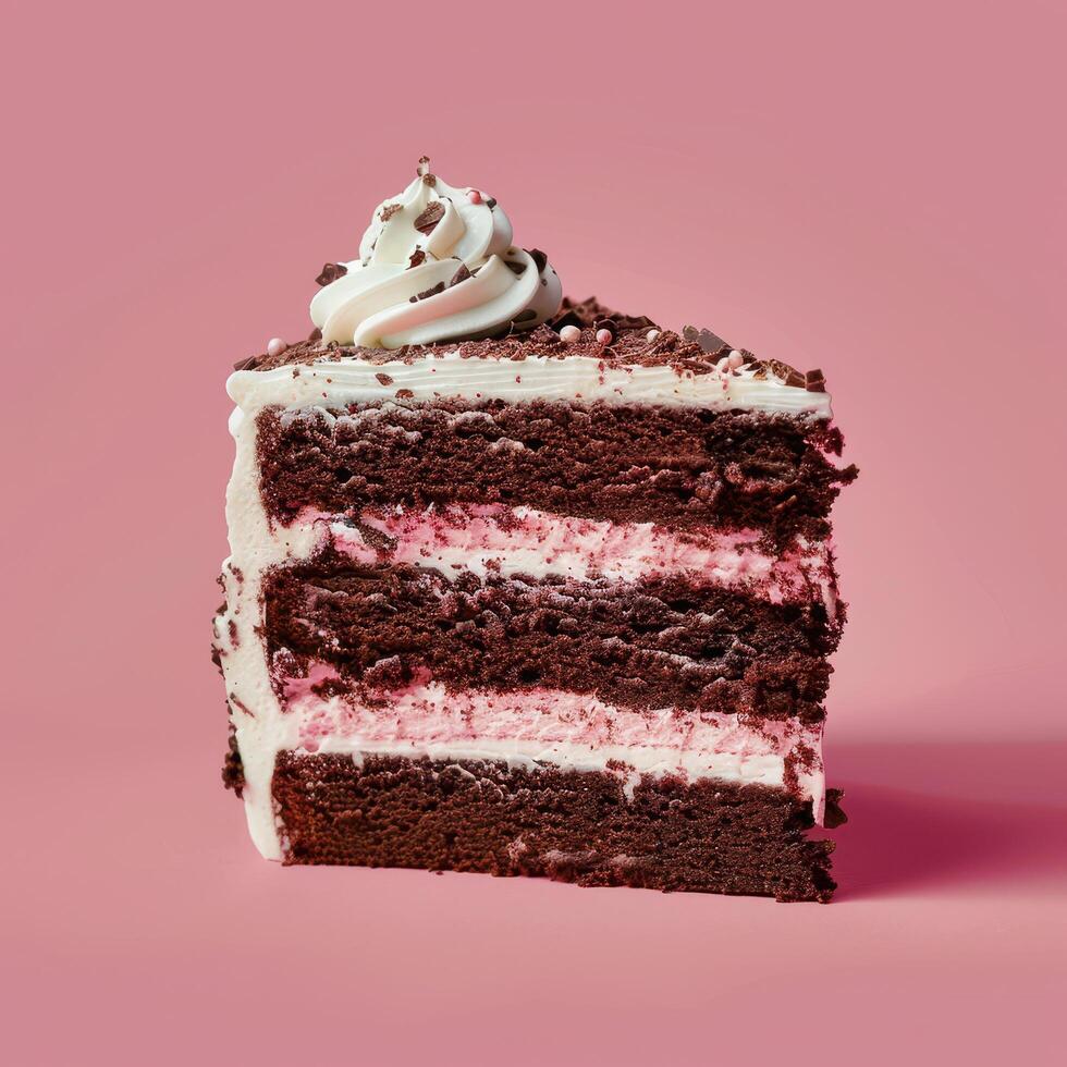 A Slice of Chocolate Cake with Whipped Cream and Sprinkles photo