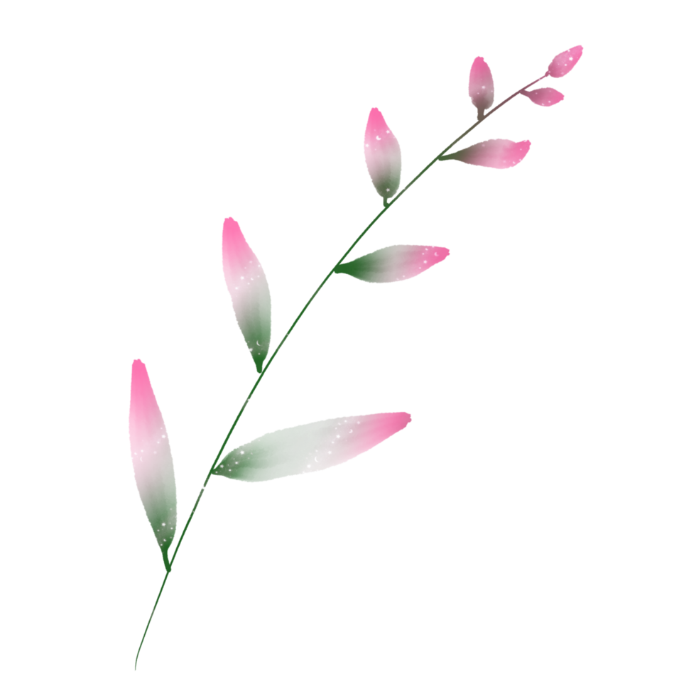 A pink and green watercolor plant on a transparent background png