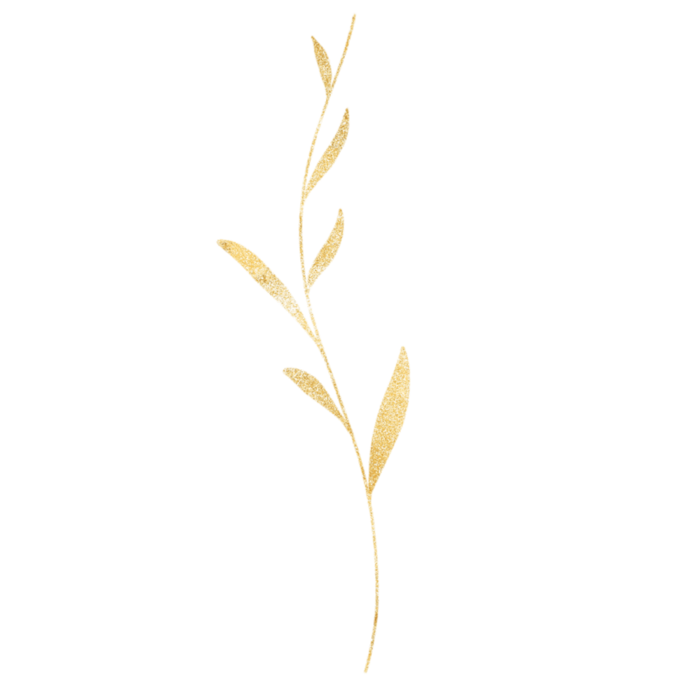 A golden branch with glitter and leaves on a Transparent Background png