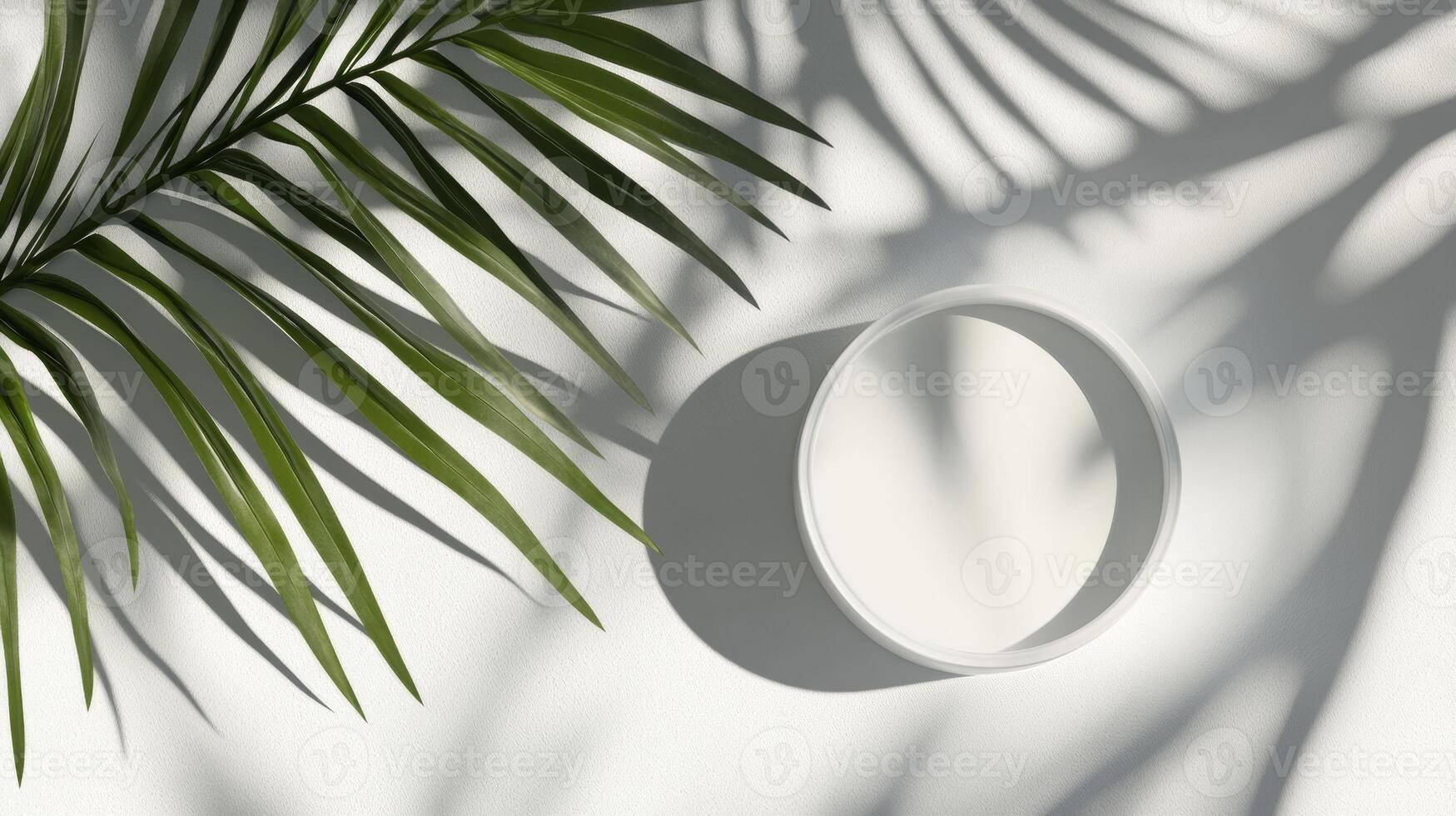 3D Render of White Blank Cylinder Frame with Palm Leaf Shadows photo