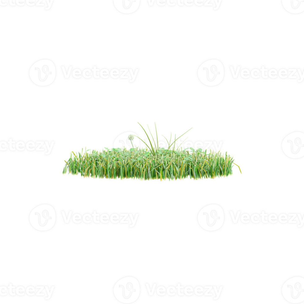 Green grass with whitte canvas.3d rendering png