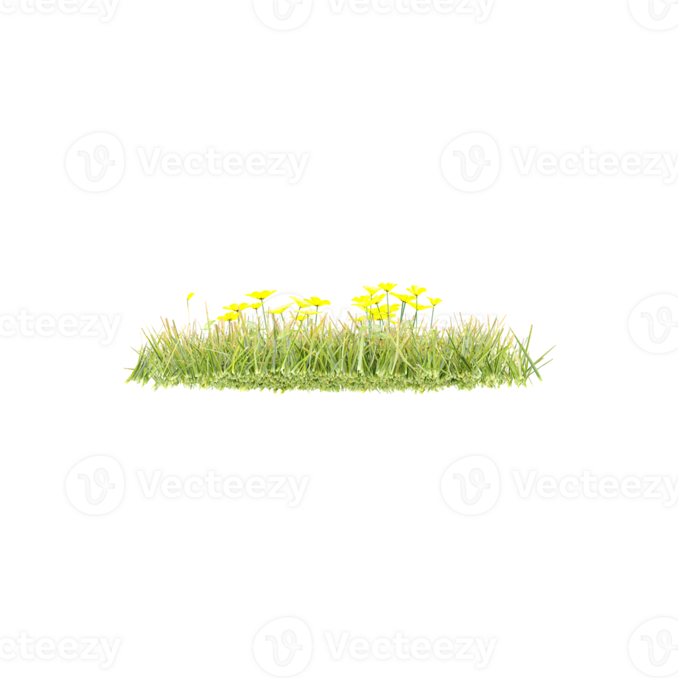 set of grass and bush with alpha mask, 3d rendering, for digital composition and architecture visualization png
