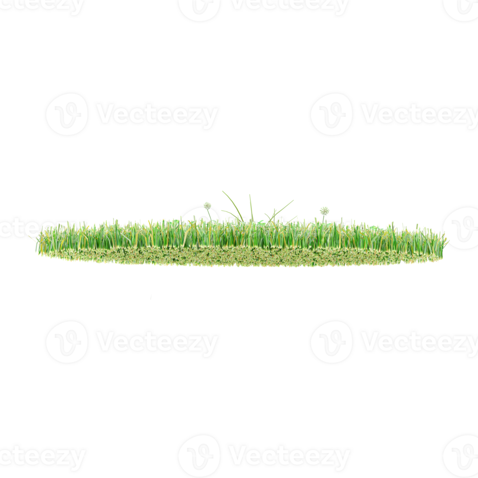 Fresh spring green grass panorama isolated on canvas png