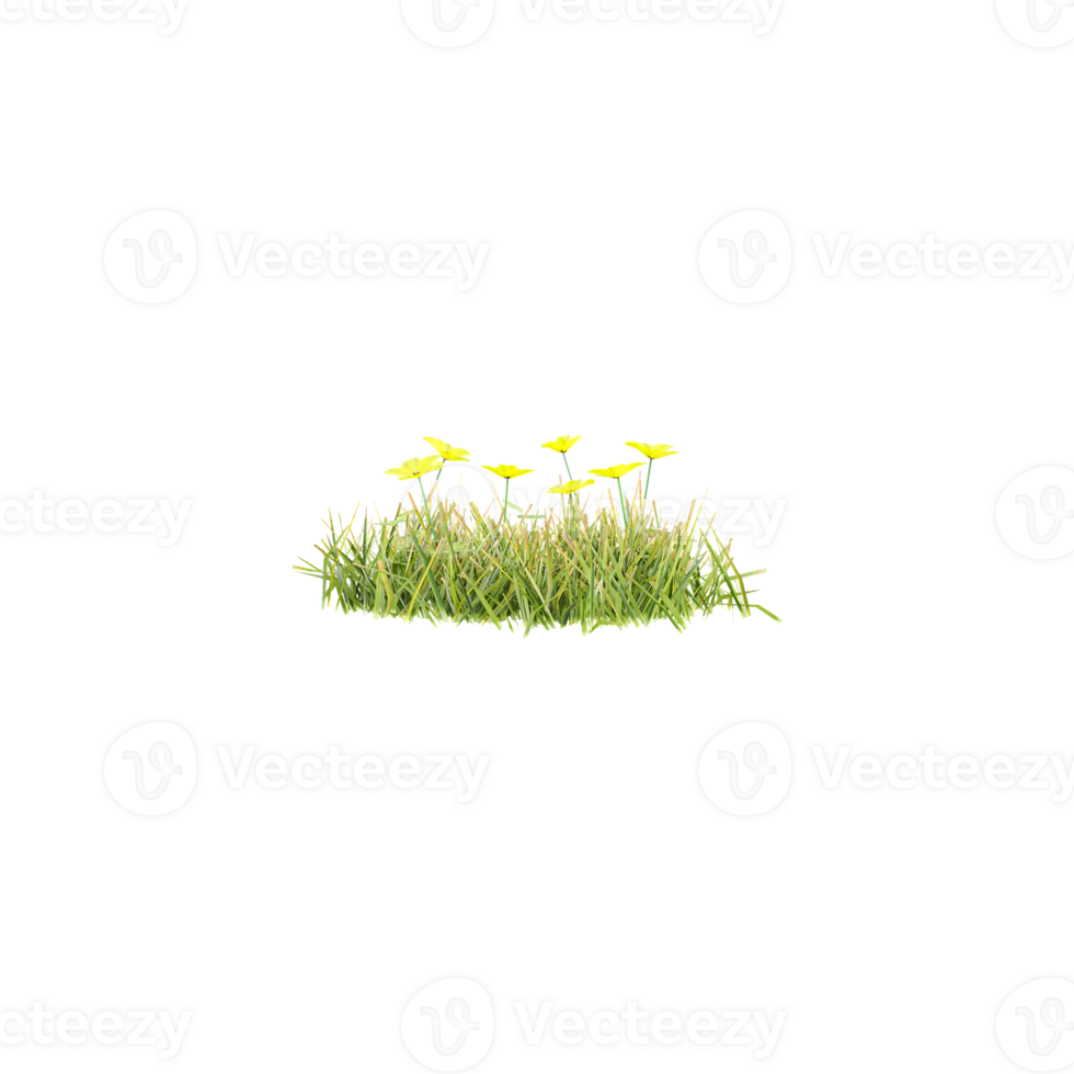 Nature grass meadow flow cut out canvas 3d rendering file png