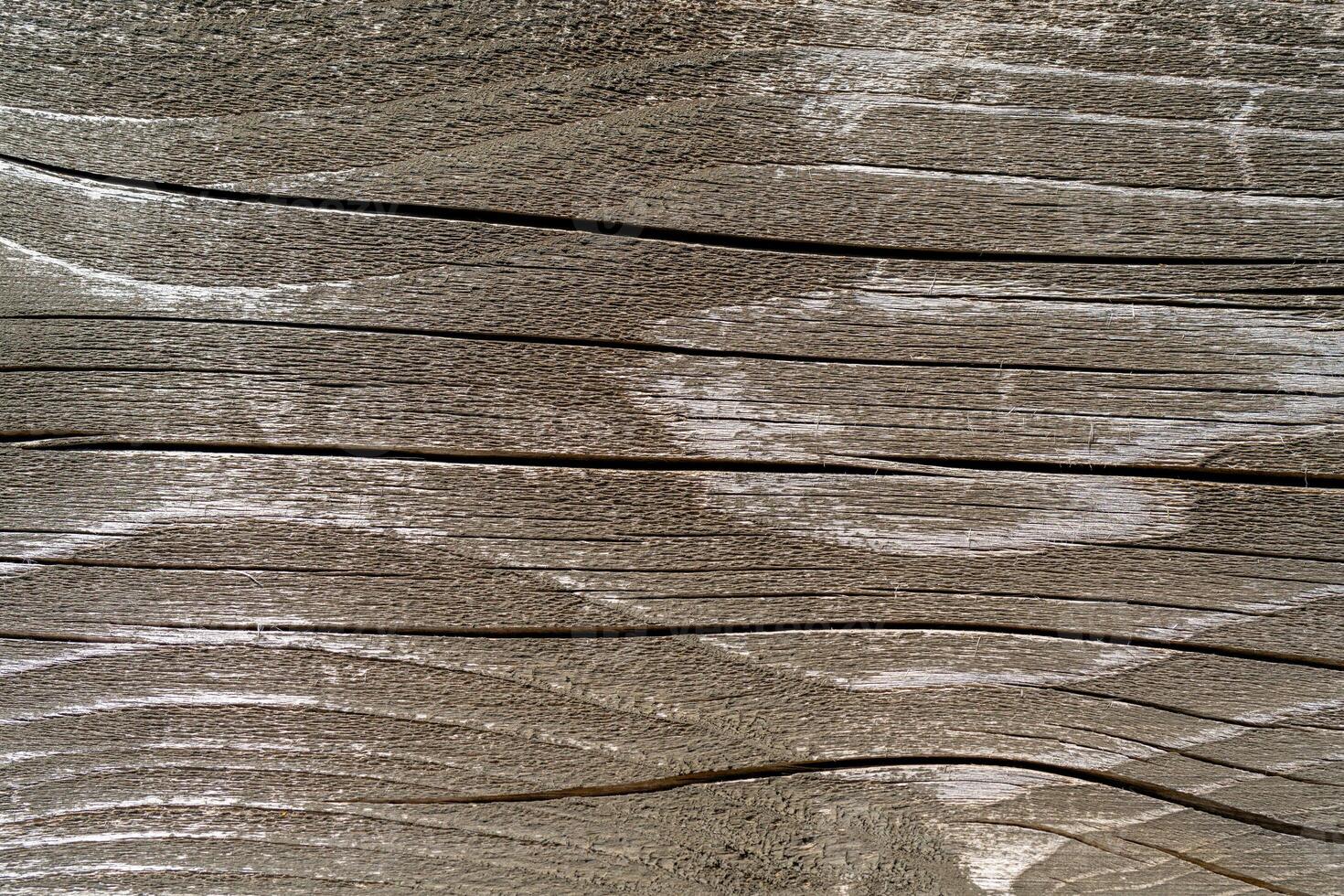 The texture of an old decaying tree. Wooden background. photo