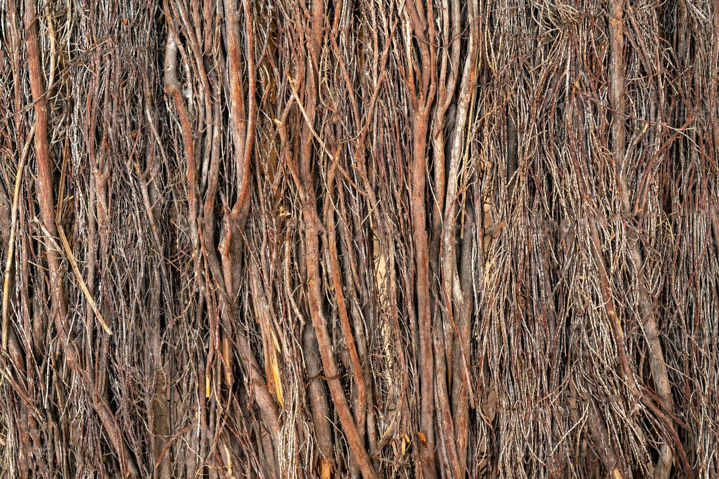 Fence of dry branches. Natural wooden background. photo