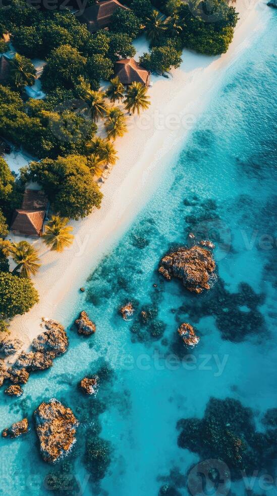 Turquoise water meeting white sand beach with palm trees forming tropical paradise photo