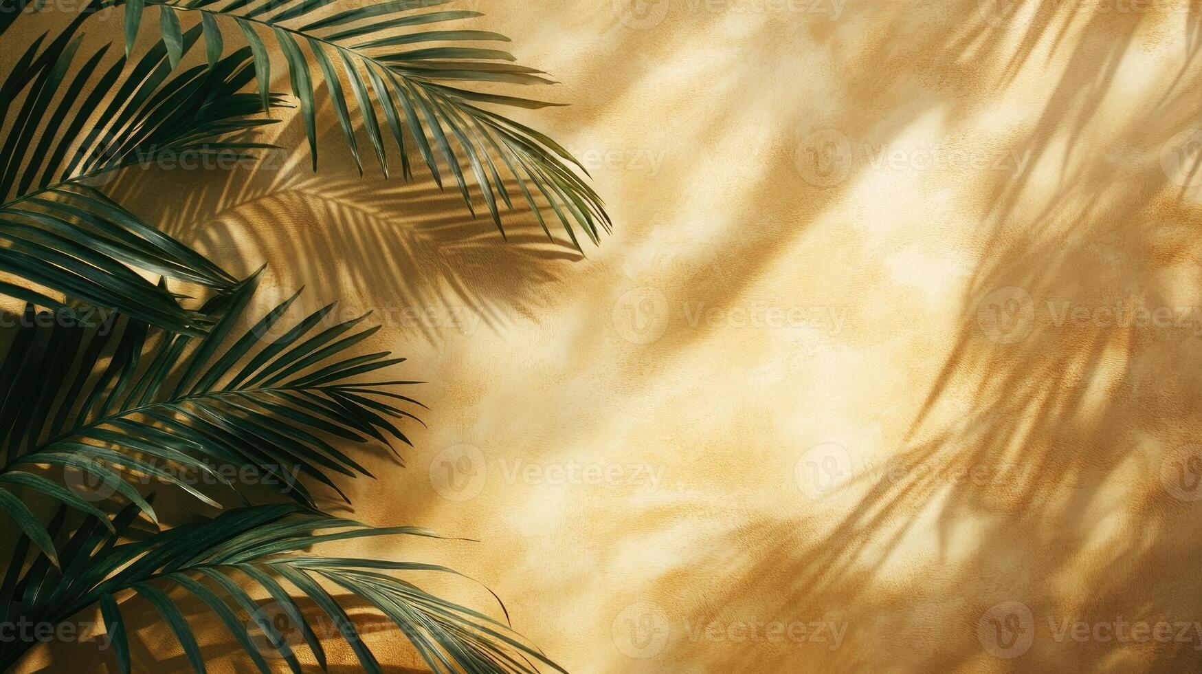 Tropical green palm tree leaves casting shadows on an orange wall photo