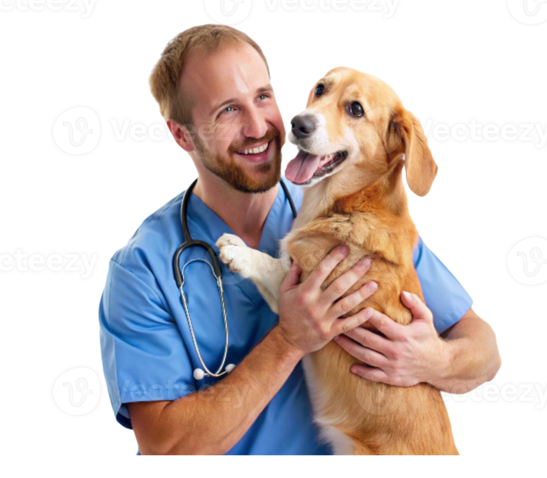 veterinário segurando sorridente beagle cachorro às veterinario clínica png
