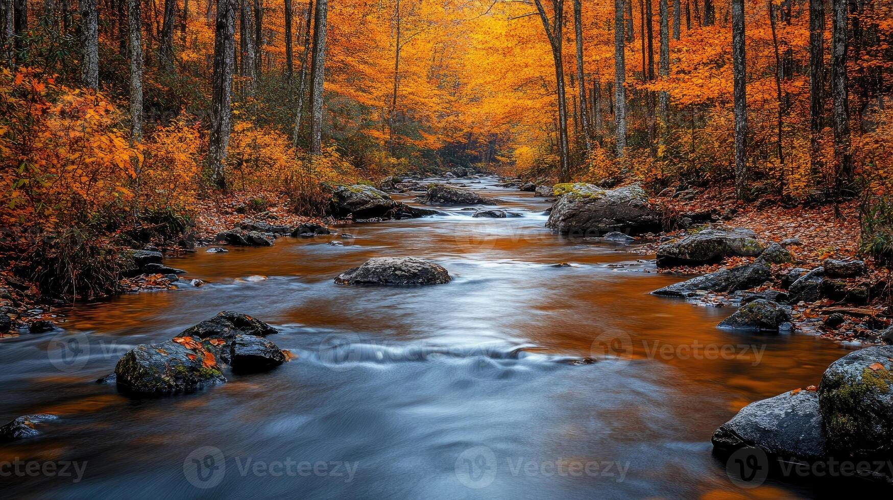 Mountain stream flows through a vibrant autumn forest photo