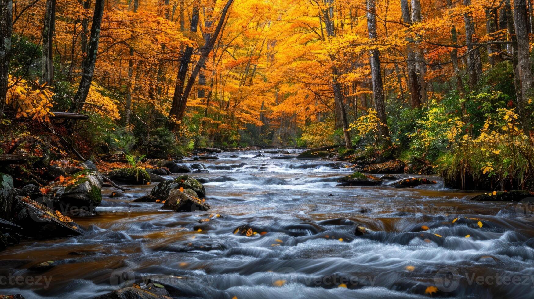 Mountain stream flows through a vibrant autumn forest photo